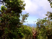 Dominica Boiling Lake Trail