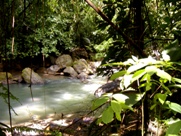 Dominica Victoria Waterfalls Hiking