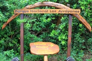 Free Arrayanes Pictures
