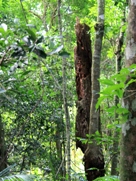 Free Birds Park Pictures