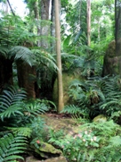 Free Birds Park Pictures