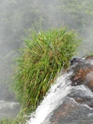 Free Iguacu Falls Pictures