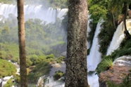 Free Iguacu Falls Pictures