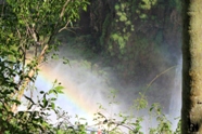 Free Iguacu Falls Pictures