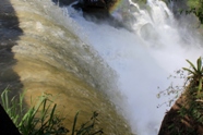 Free Iguacu Falls Pictures