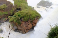 Free Iguacu Falls Pictures