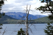 Free Isla Victoria Bariloche Pictures