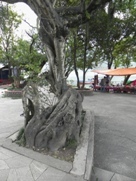 Free Pokhara Nepal Pictures