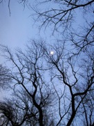 Free sky and clouds pictures