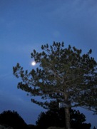 Free sky and clouds pictures