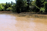 Web of canals in Delta Tigre