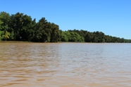 Waters in Delta Tigre