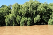 waterways of delta tigre