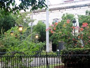Free Havana city photos