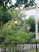 Free Havana city photos
