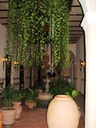 Free Havana city restaurants pictures