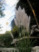Kathmandu Garden of Dreams