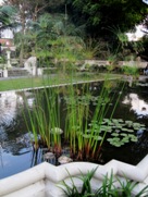 Kathmandu Garden of Dreams