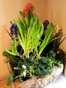 Restaurant Pod Aniolami