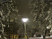 Free Street Lights pictures