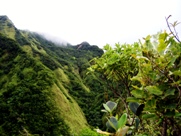 Dominica Boiling Lake Trail