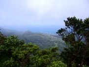 Dominica Boiling Lake Trail