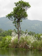 Free Pokhara Nepal Phewa Lake Pictures