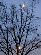 Free street lamps pictures